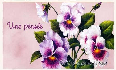 conseils pour la vie...